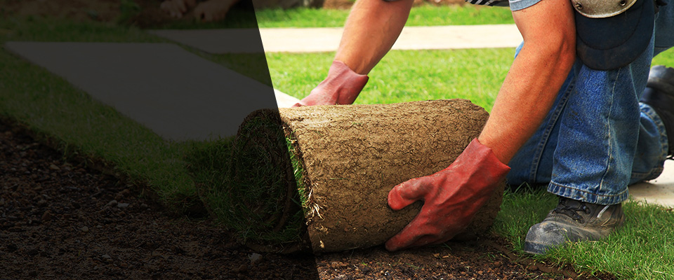 East Palatka Landscapers